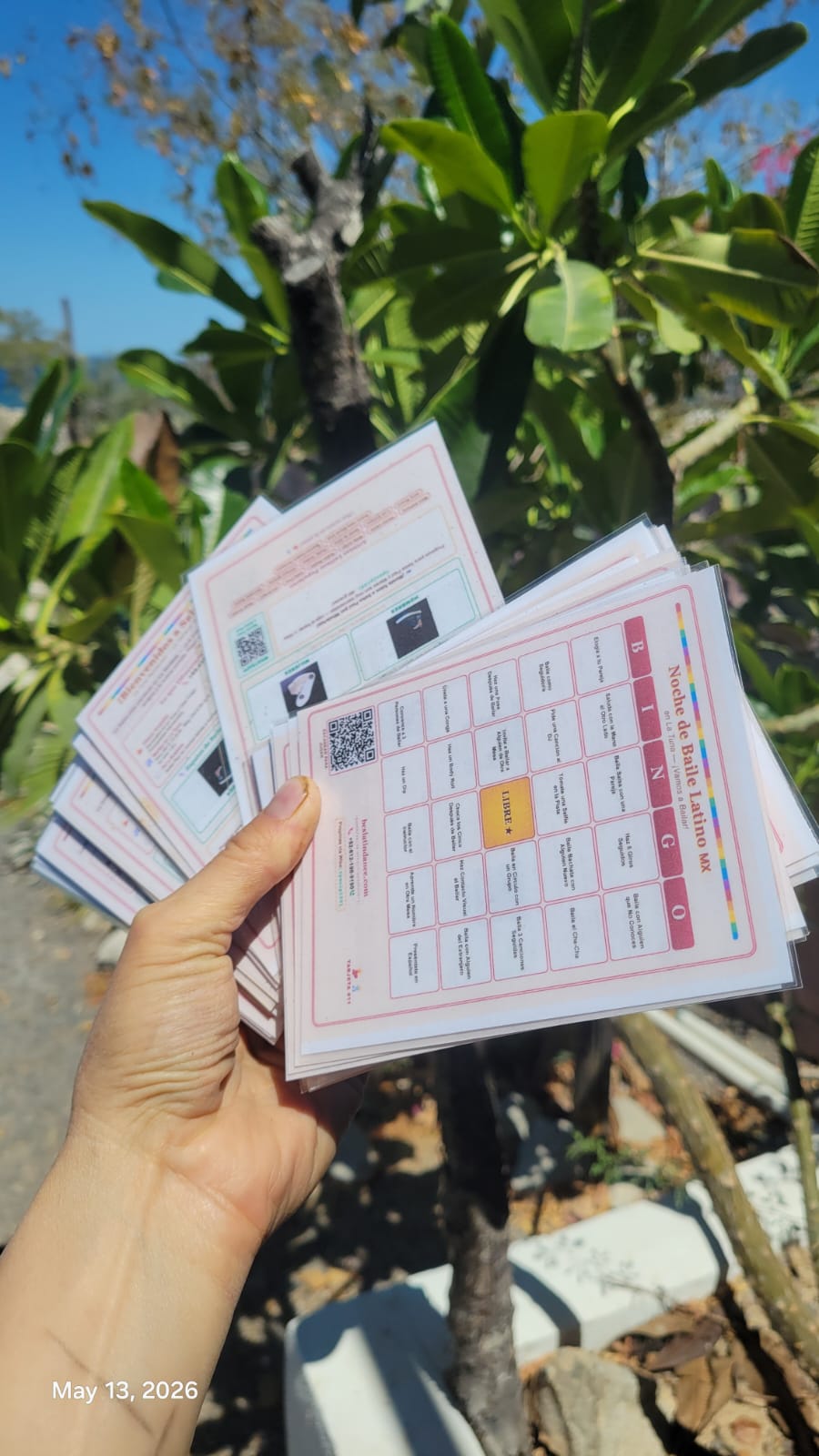 30 laminated Salsa Bingo cards fanned out in hand, showing the bingo grid and QR code, photographed outdoors in La Ventana